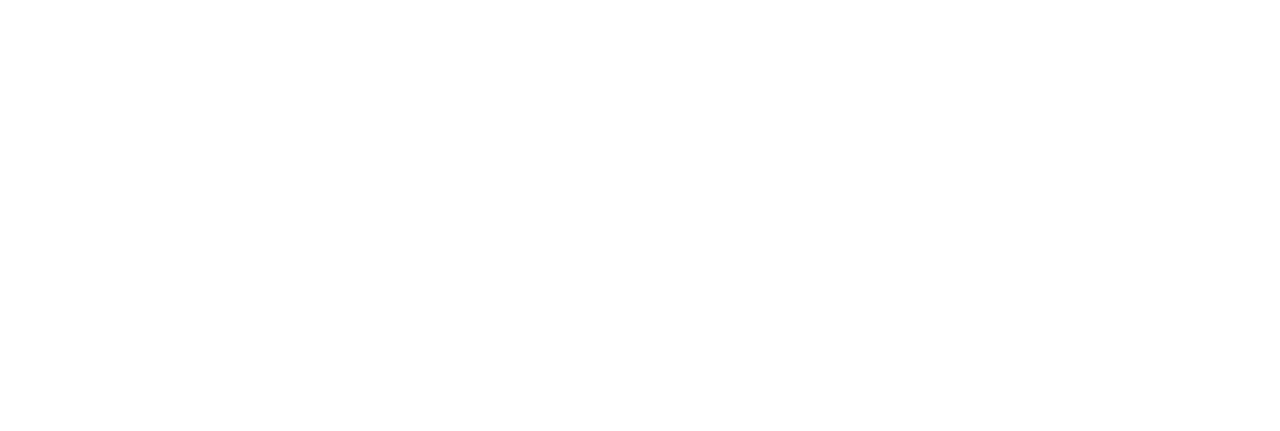 Merzo New York White Logo